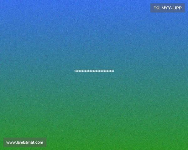 陈哲超：梅州让我感受到家的温暖和亲切，表现非常出色